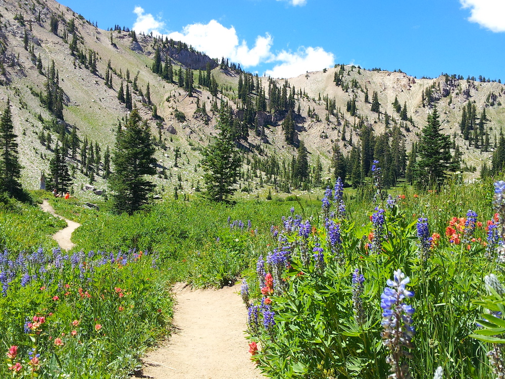 Hiking in the Wasatch range outside Park City