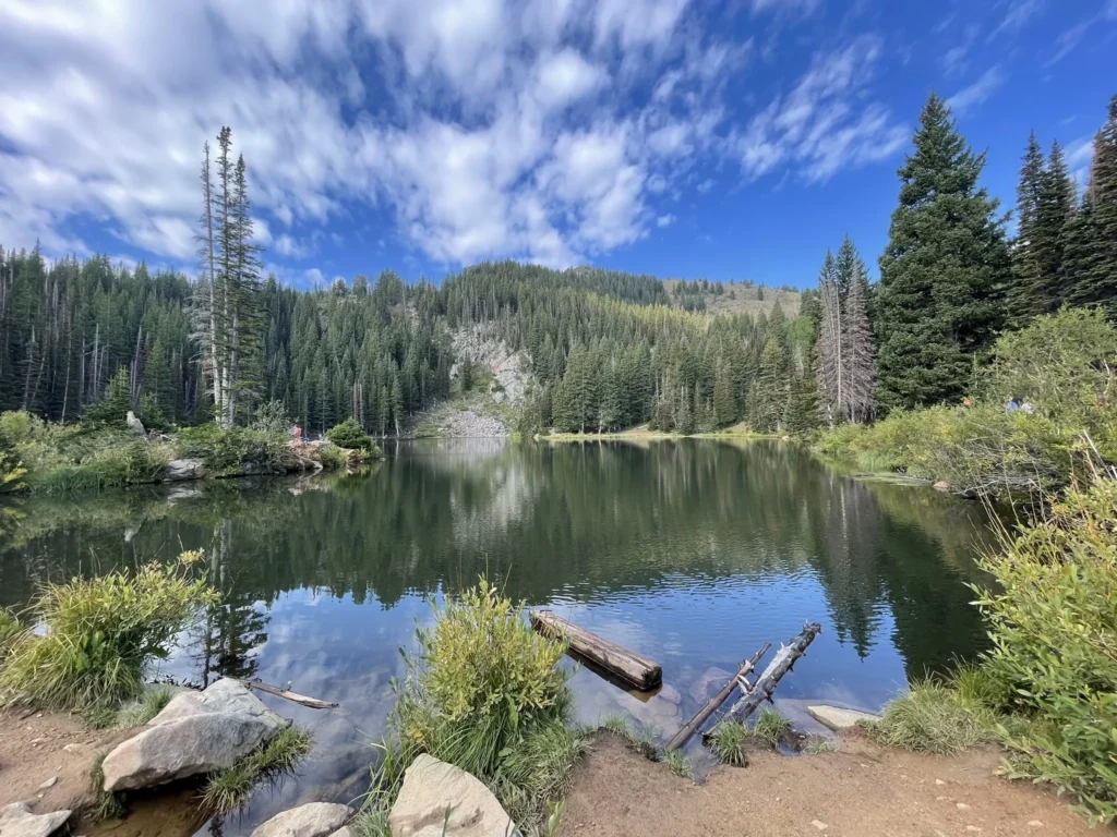 Bloods Lake Trail