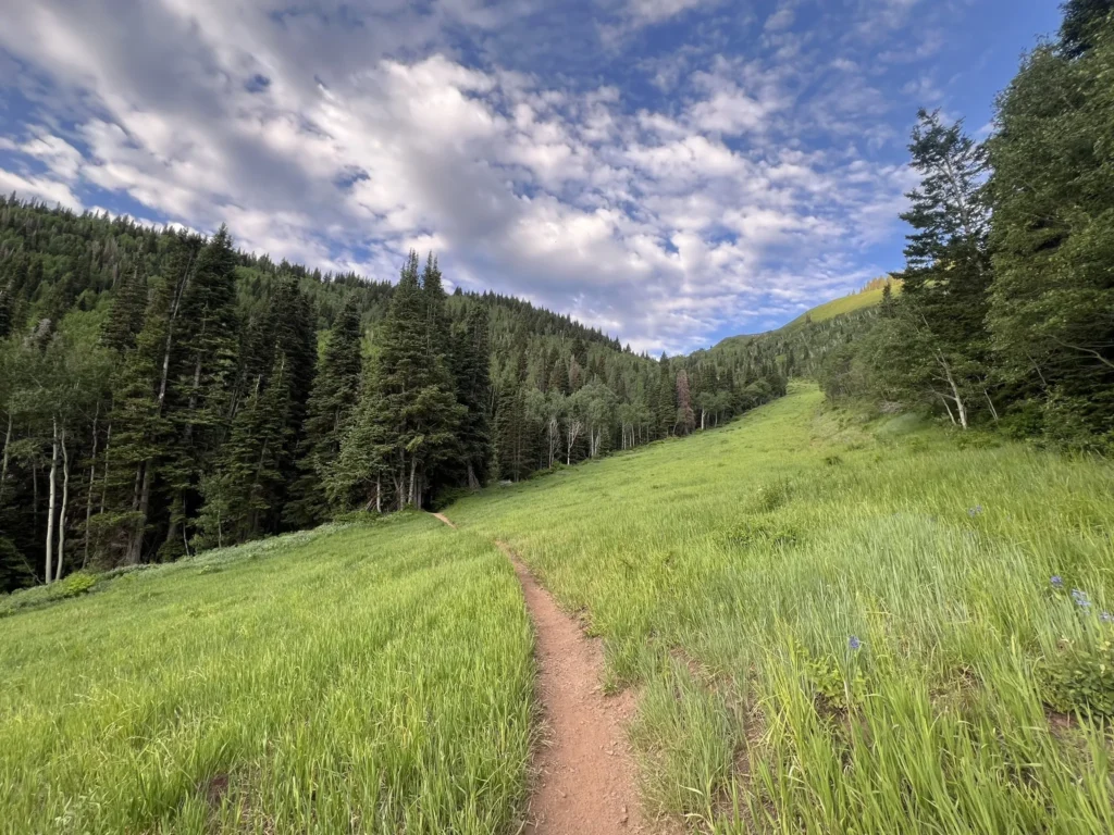 Mid Mountain trail in Park City