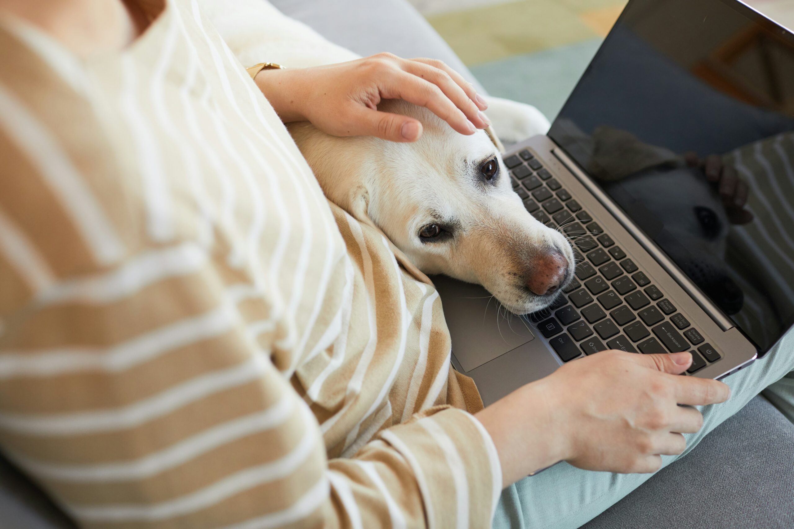 For homes that allow pets, Luxe Haus partners with a specialized third-party pet screening provider. This helps create accountability and reduce pet-related risk while preserving the revenue opportunity of pet-friendly stays.